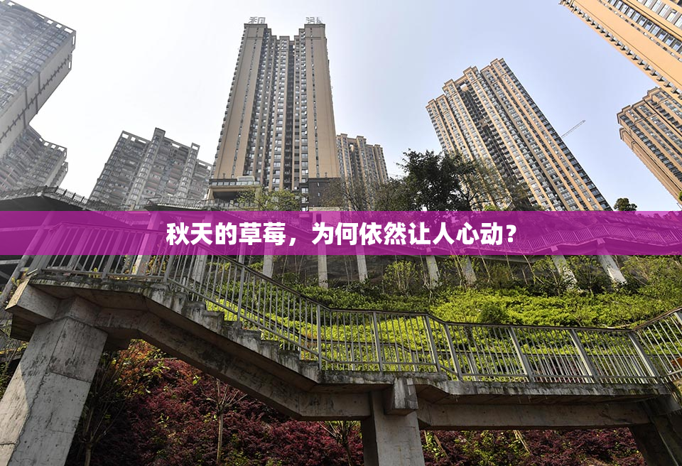 秋天的草莓，为何依然让人心动？