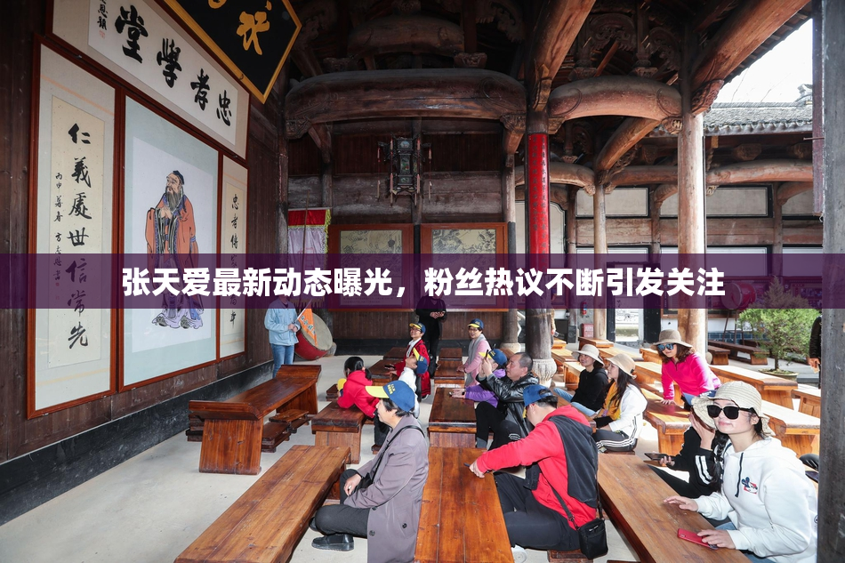 张天爱最新动态曝光，粉丝热议不断引发关注
