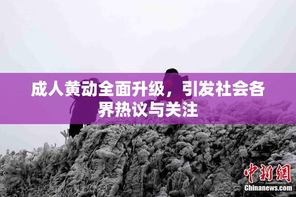 成人黄动全面升级，引发社会各界热议与关注