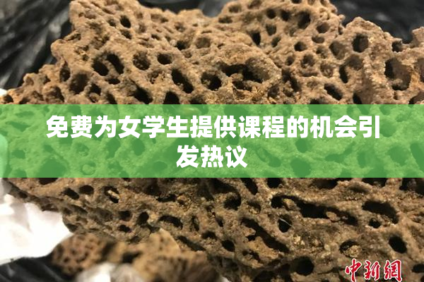 免费为女学生提供课程的机会引发热议