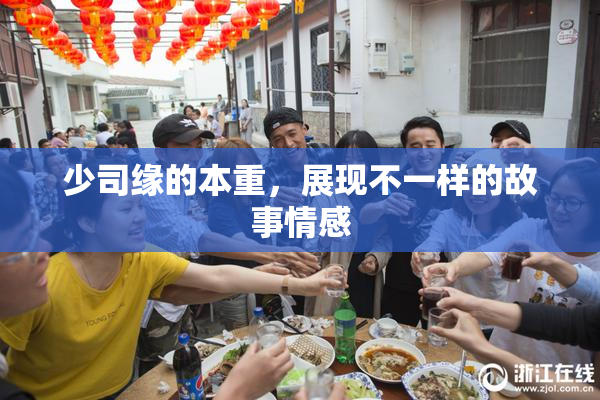 少司缘的本重，展现不一样的故事情感