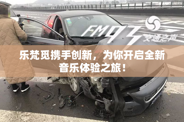乐梵觅携手创新，为你开启全新音乐体验之旅！