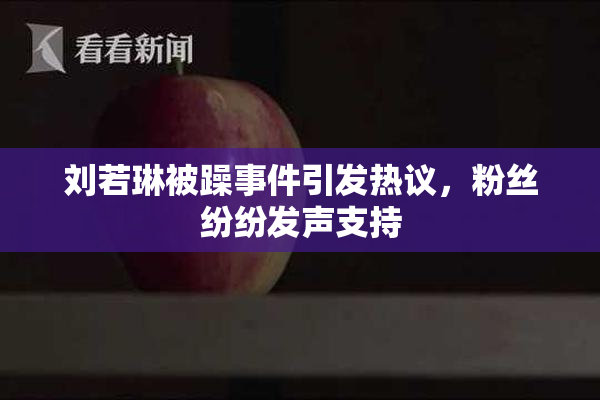 刘若琳被躁事件引发热议，粉丝纷纷发声支持