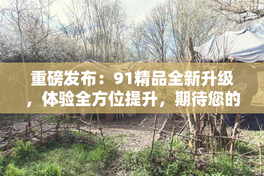 重磅发布：91精品全新升级，体验全方位提升，期待您的关注！