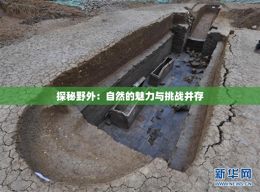探秘野外：自然的魅力与挑战并存