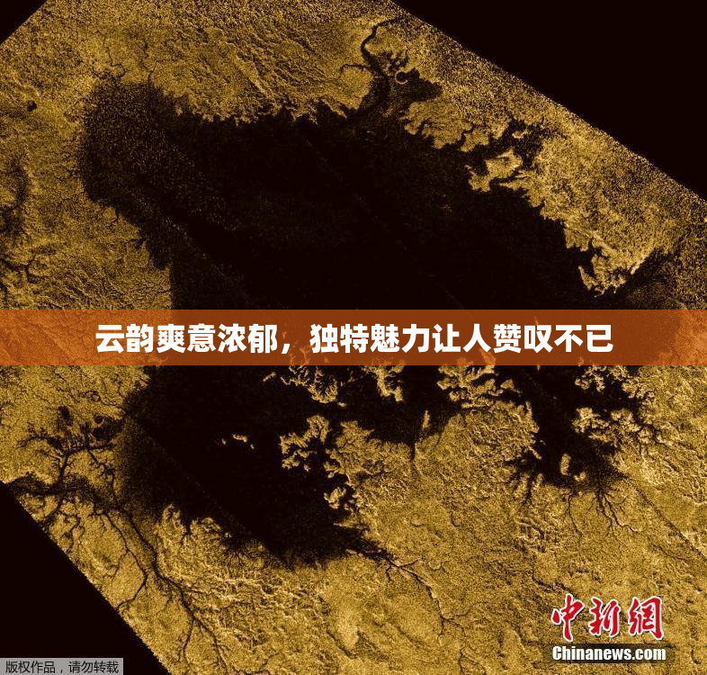 云韵爽意浓郁，独特魅力让人赞叹不已