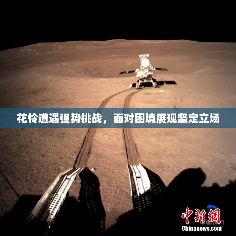 花怜遭遇强势挑战，面对困境展现坚定立场