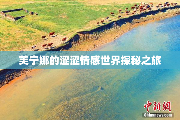 芙宁娜的涩涩情感世界探秘之旅