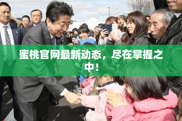 蜜桃官网最新动态，尽在掌握之中！