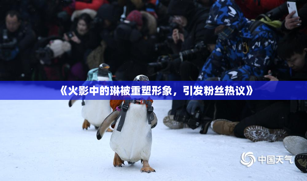 《火影中的琳被重塑形象，引发粉丝热议》