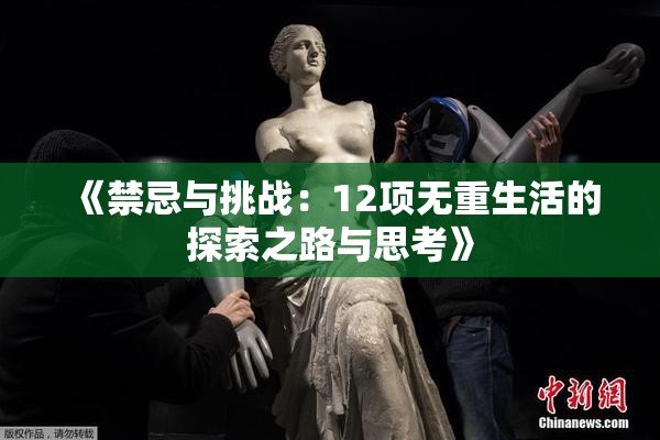 《禁忌与挑战：12项无重生活的探索之路与思考》