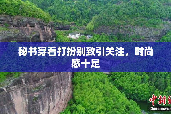 秘书穿着打扮别致引关注，时尚感十足