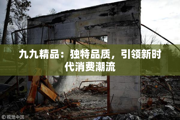 九九精品：独特品质，引领新时代消费潮流