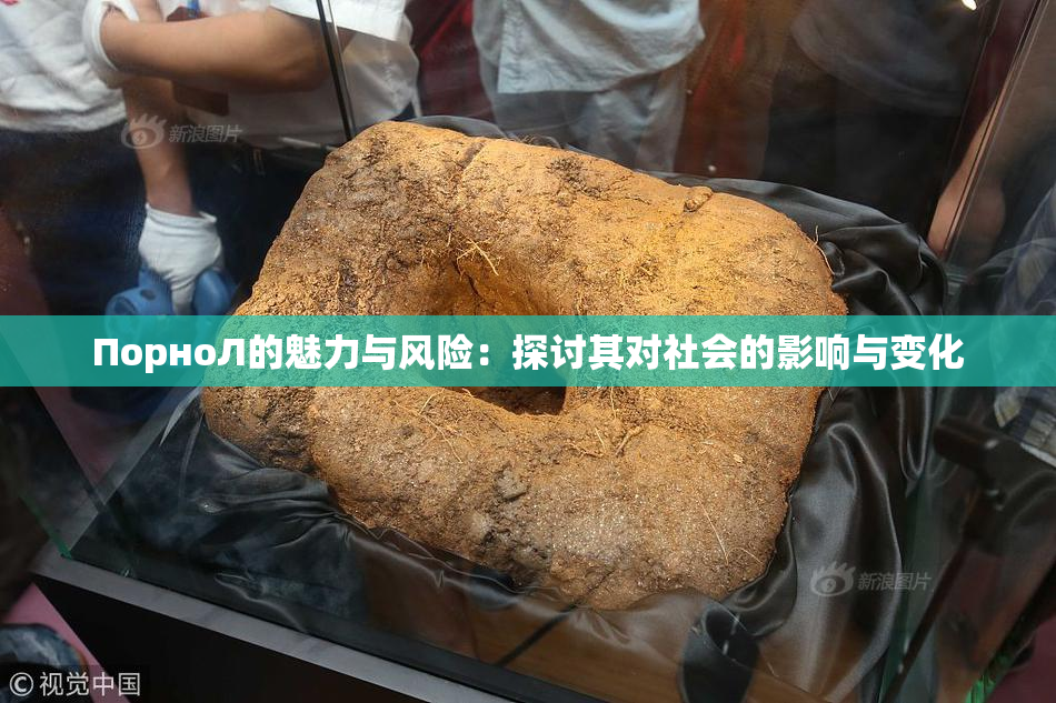 ПорноЛ的魅力与风险：探讨其对社会的影响与变化