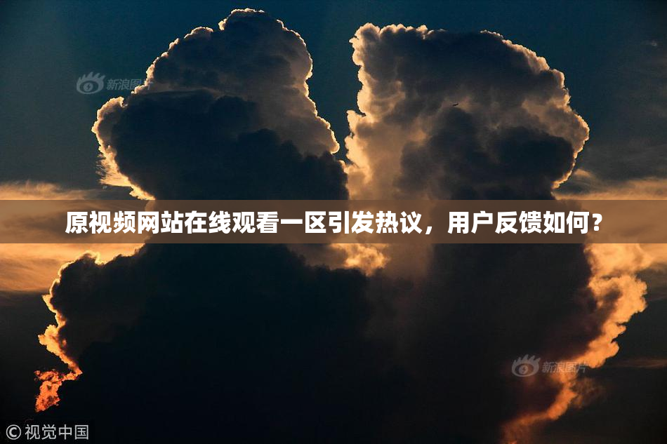 原视频网站在线观看一区引发热议，用户反馈如何？