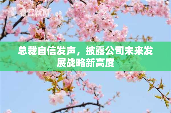 总裁自信发声，披露公司未来发展战略新高度