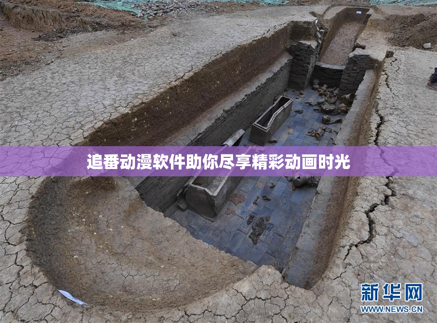 追番动漫软件助你尽享精彩动画时光