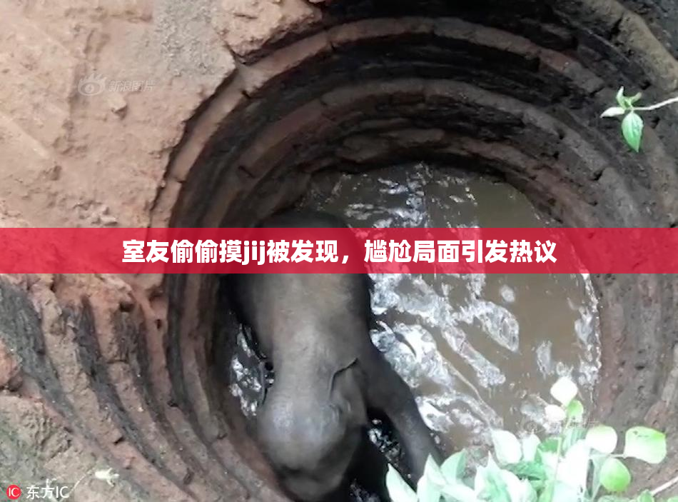 室友偷偷摸jij被发现，尴尬局面引发热议