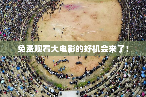免费观看大电影的好机会来了！