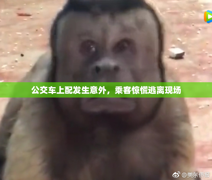 公交车上配发生意外，乘客惊慌逃离现场