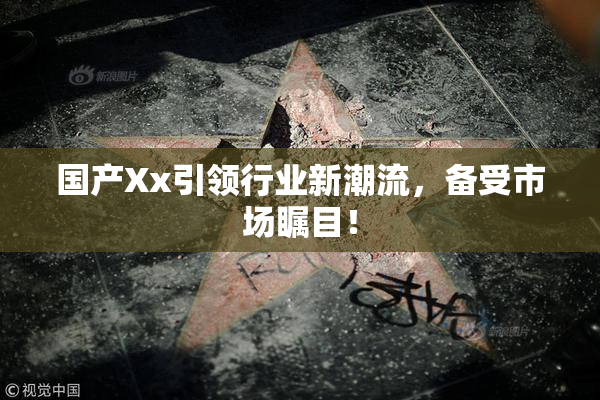 国产Xx引领行业新潮流，备受市场瞩目！