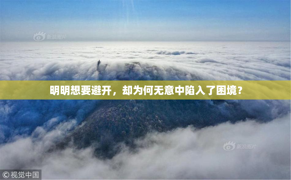 明明想要避开，却为何无意中陷入了困境？