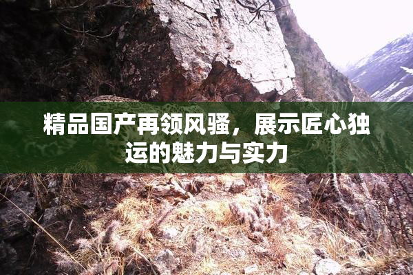 精品国产再领风骚，展示匠心独运的魅力与实力