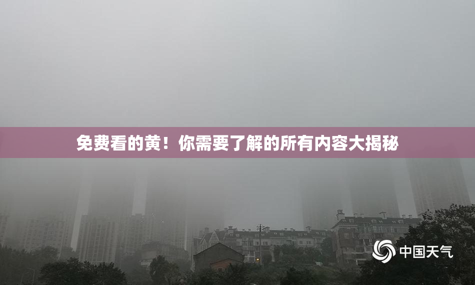 免费看的黄！你需要了解的所有内容大揭秘