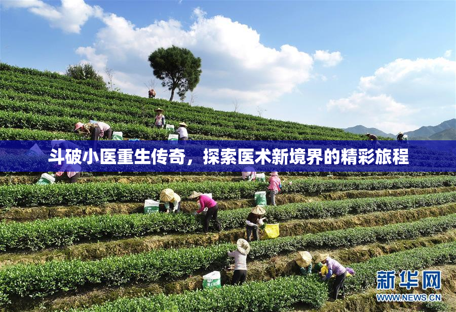 斗破小医重生传奇，探索医术新境界的精彩旅程