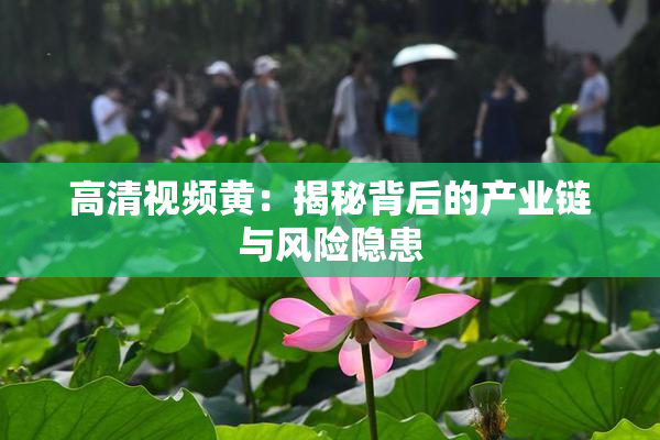 高清视频黄：揭秘背后的产业链与风险隐患
