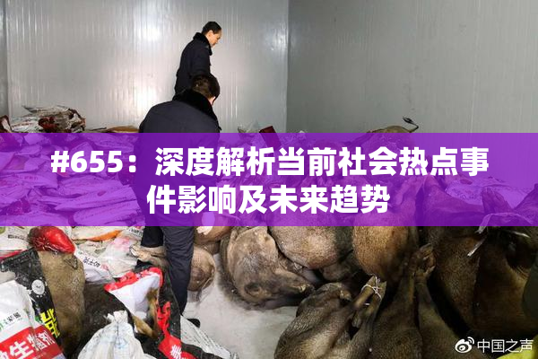 #655：深度解析当前社会热点事件影响及未来趋势