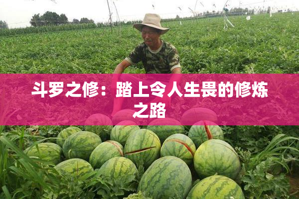 斗罗之修：踏上令人生畏的修炼之路