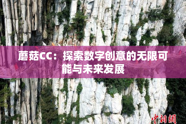 蘑菇CC：探索数字创意的无限可能与未来发展