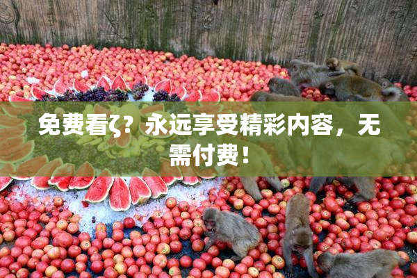 免费看ζ？永远享受精彩内容，无需付费！