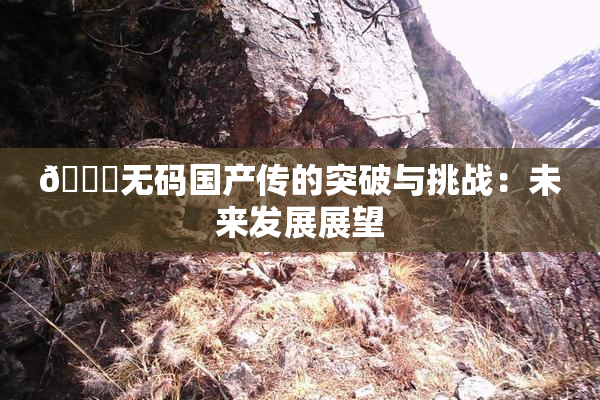 🔞无码国产传的突破与挑战：未来发展展望