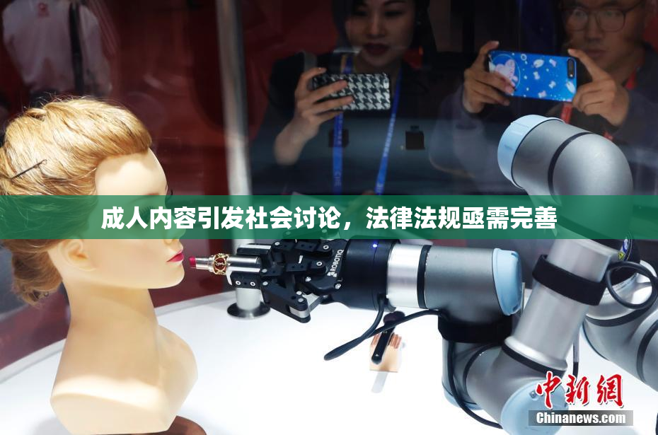 成人内容引发社会讨论，法律法规亟需完善