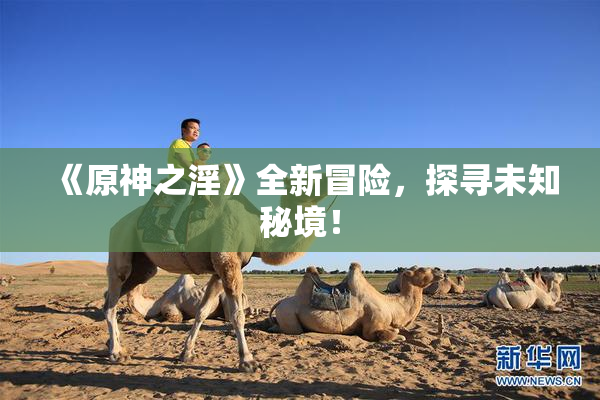 《原神之淫》全新冒险，探寻未知秘境！