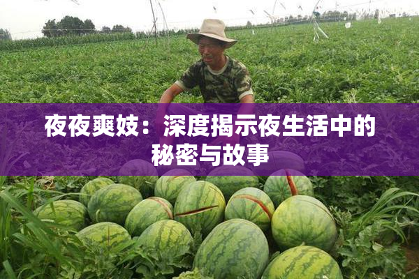 夜夜爽妓：深度揭示夜生活中的秘密与故事