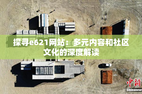 探寻e621网站：多元内容和社区文化的深度解读