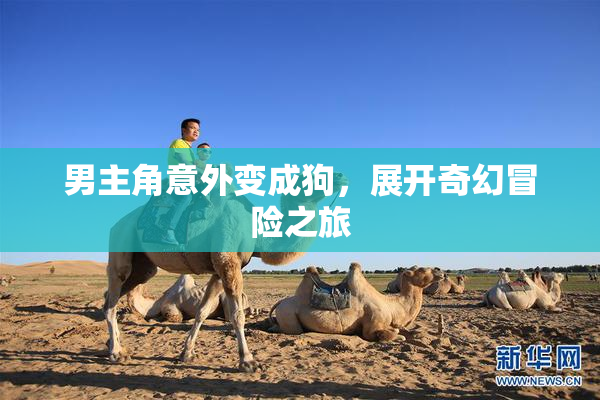 男主角意外变成狗，展开奇幻冒险之旅
