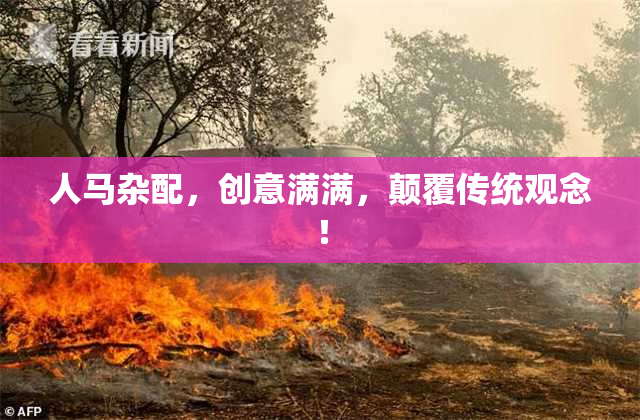 人马杂配，创意满满，颠覆传统观念！