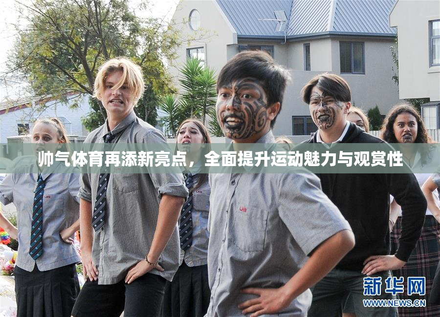 帅气体育再添新亮点，全面提升运动魅力与观赏性