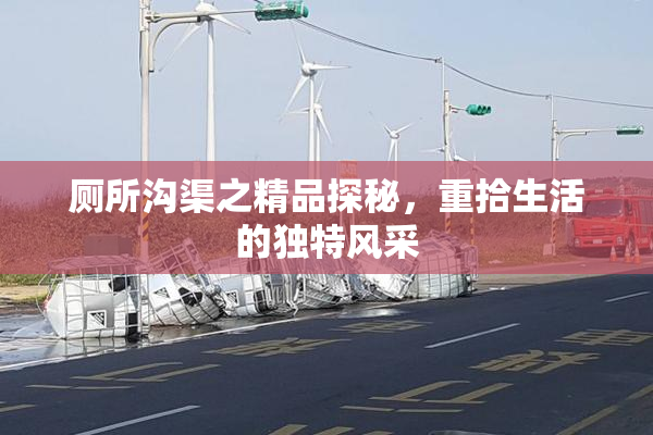 厕所沟渠之精品探秘，重拾生活的独特风采