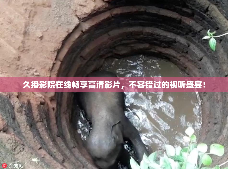 久播影院在线畅享高清影片，不容错过的视听盛宴！