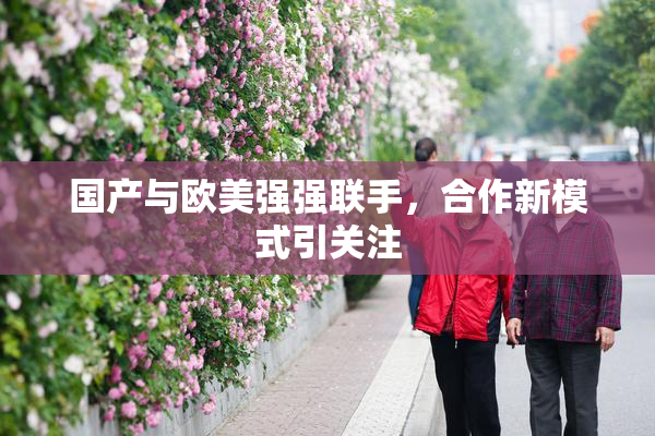 国产与欧美强强联手，合作新模式引关注