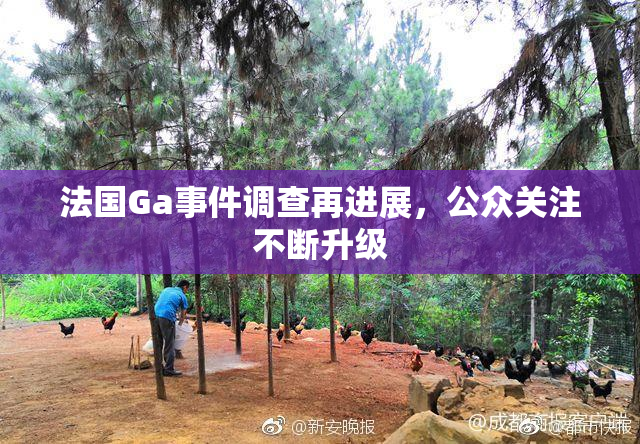 法国Ga事件调查再进展，公众关注不断升级