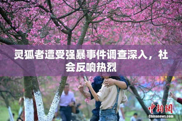灵狐者遭受强暴事件调查深入，社会反响热烈