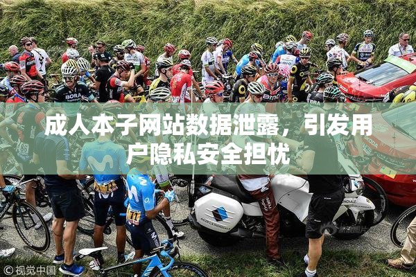 成人本子网站数据泄露，引发用户隐私安全担忧