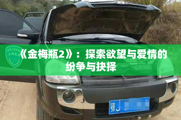 《金梅瓶2》：探索欲望与爱情的纷争与抉择