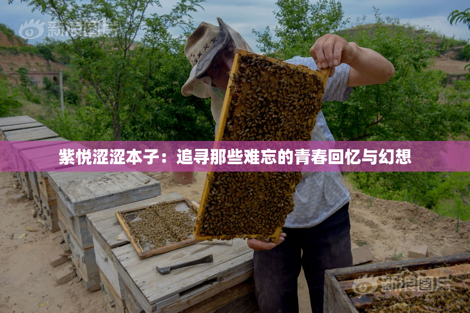 紫悦涩涩本子：追寻那些难忘的青春回忆与幻想